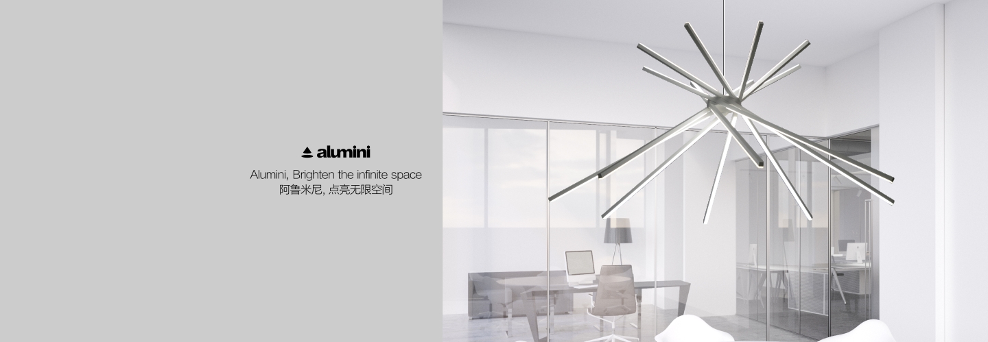 阿鲁米尼照明有限公司(中国) alumini lighting co.